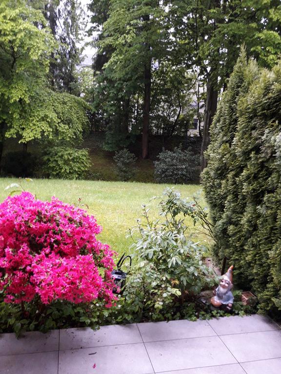 Apartment Near Villa Turgenev Baden-Baden Dış mekan fotoğraf