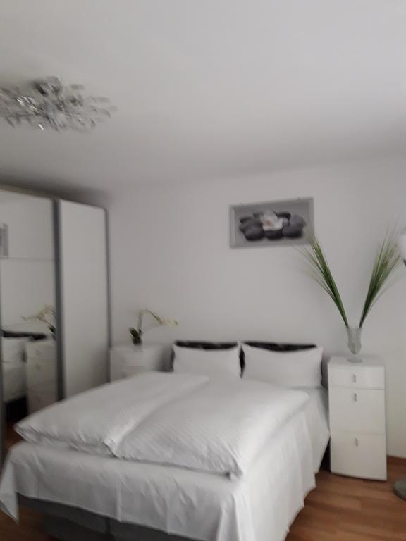 Apartment Near Villa Turgenev Baden-Baden Dış mekan fotoğraf