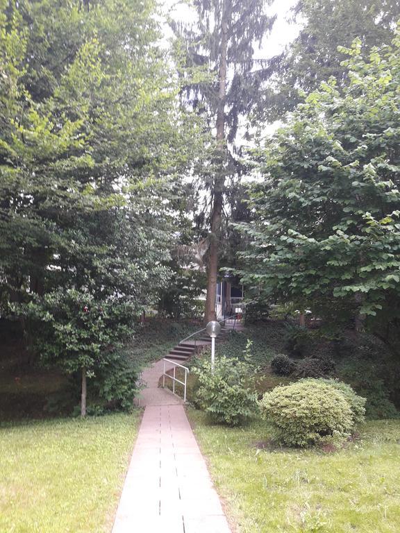 Apartment Near Villa Turgenev Baden-Baden Dış mekan fotoğraf