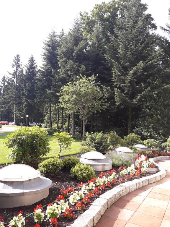 Apartment Near Villa Turgenev Baden-Baden Dış mekan fotoğraf