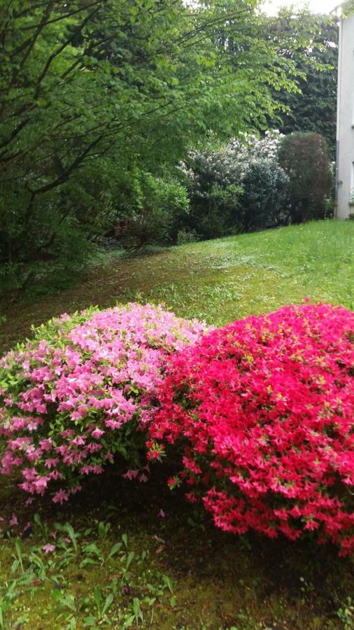 Apartment Near Villa Turgenev Baden-Baden Dış mekan fotoğraf